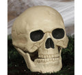 Calavera de 20 Cm