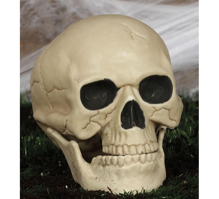 Translation missing: pt-PT.Calavera de 20 Cm