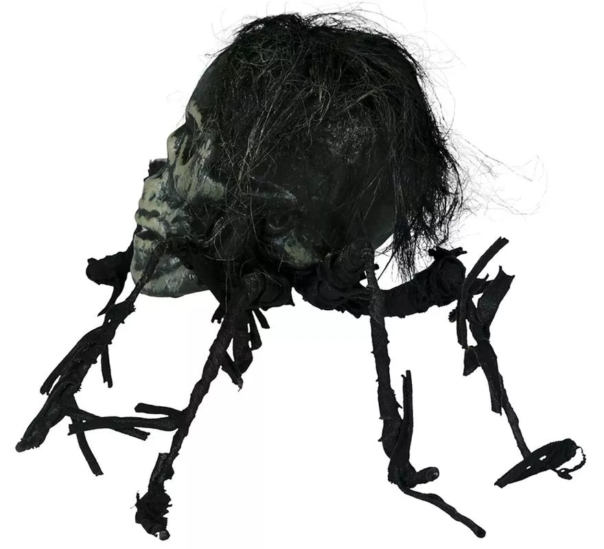Translation missing: pt-PT.Calavera de Araña de 38 cm
