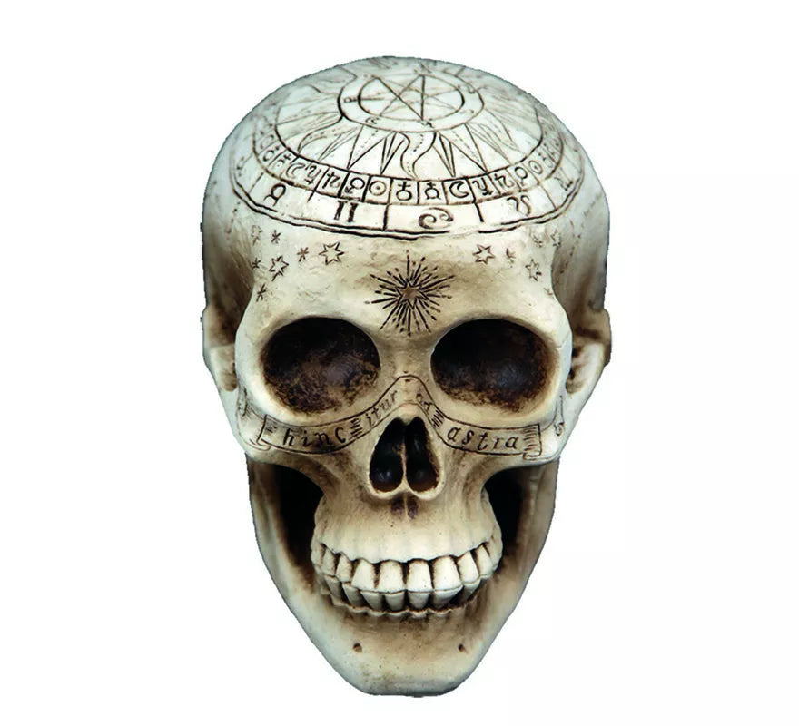 Translation missing: pt-PT.Calavera de Brujería con detalles de 20X14 cm