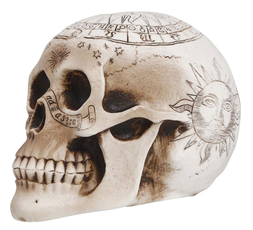 Translation missing: pt-PT.Calavera de Espiritismo de 20 cm