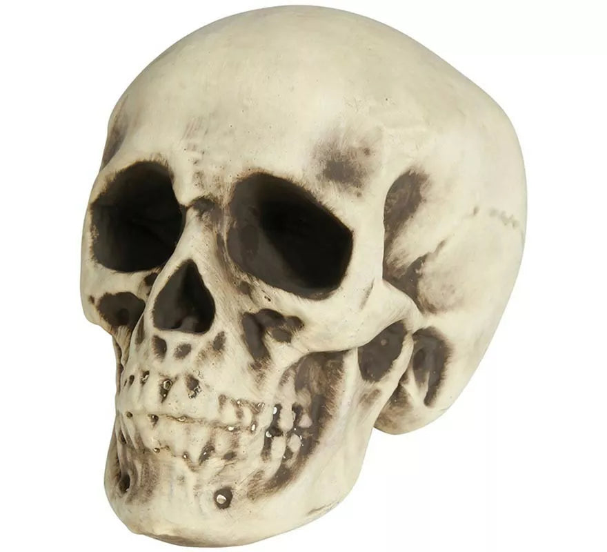 Translation missing: pt-PT.Calavera de Foam 20 cm