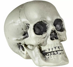 Caveira de PVC de 21 cm