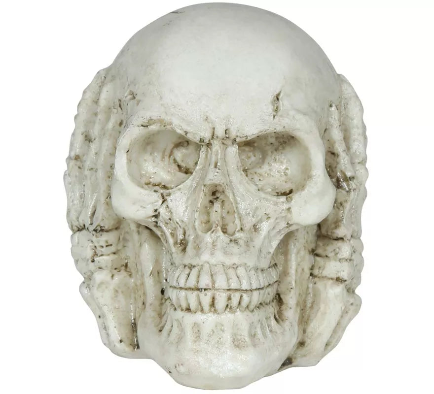 Translation missing: pt-PT.Calavera de Resina de 6 cm