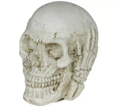 Caveira de resina de 6 cm