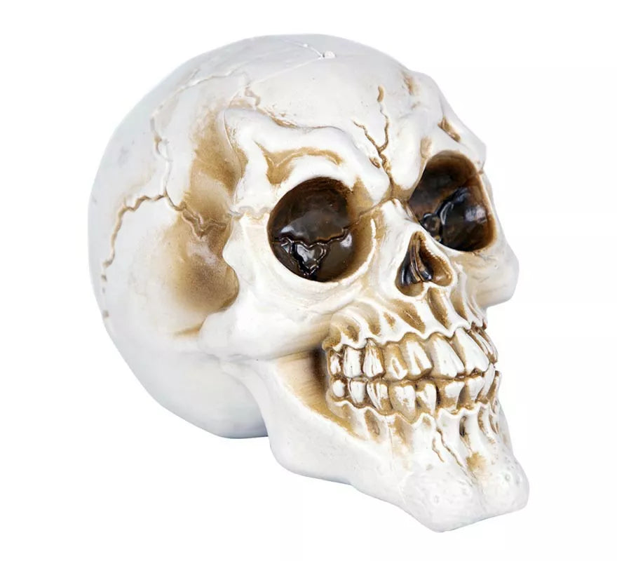 Translation missing: pt-PT.Calavera Desgastada feliz de 11,50x17x12,50 cm