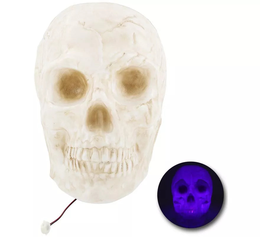 Translation missing: pt-PT.Calavera Grande con Luz de 25x30x30 cm