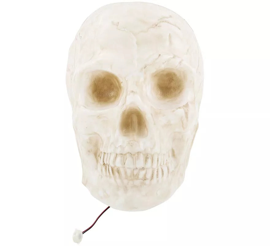 Translation missing: pt-PT.Calavera Grande con Luz de 25x30x30 cm