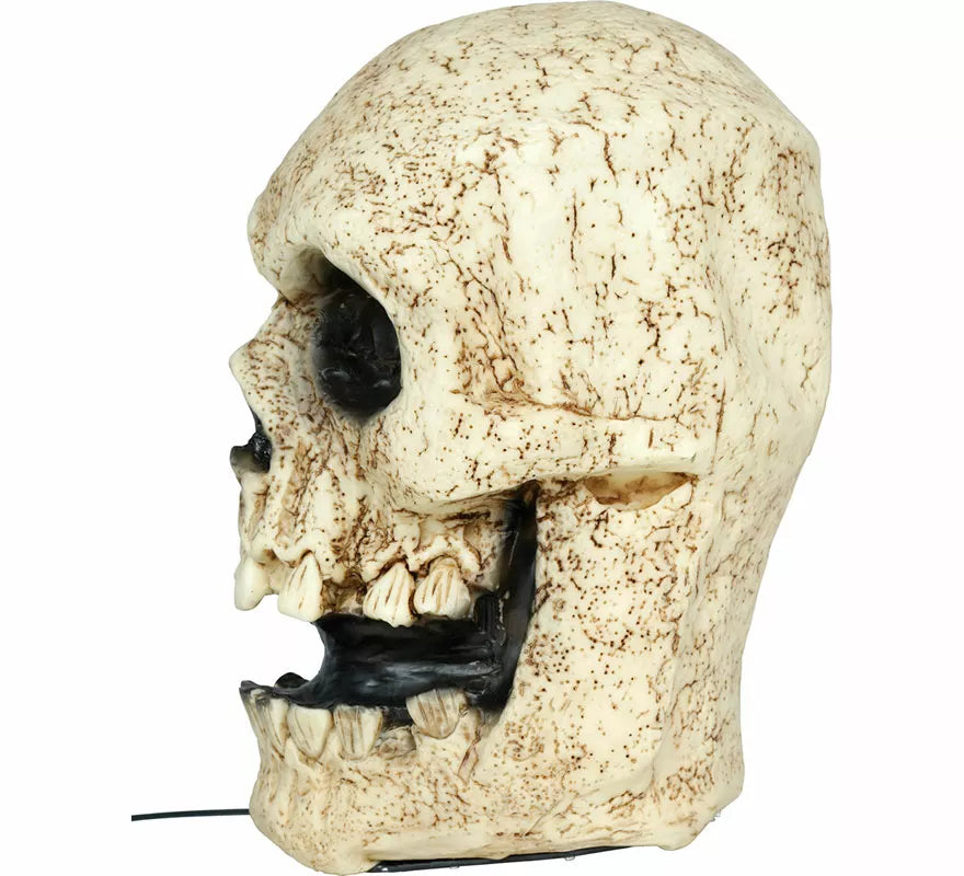 Translation missing: pt-PT.Calavera Parlante con Luz, Sonido y Movimiento de 30 cm