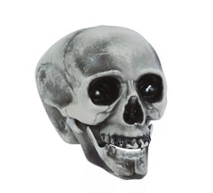 Crânio de PVC 20 cms