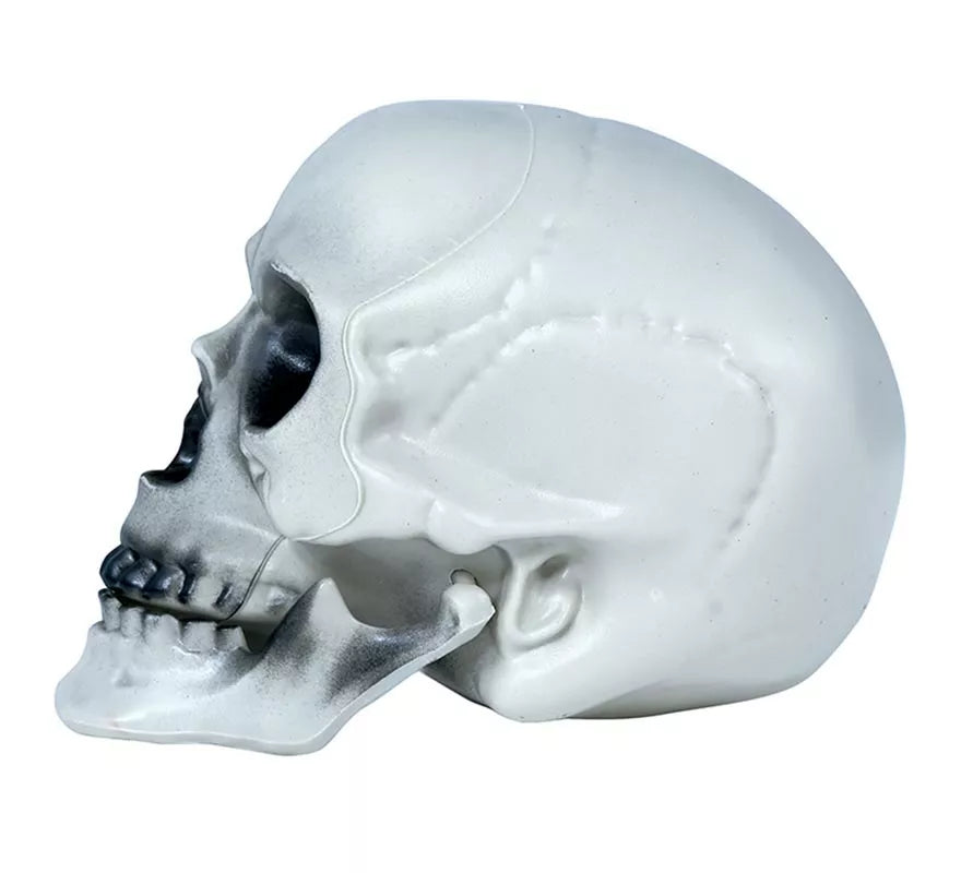 Translation missing: pt-PT.Calavera PVC 20 cms
