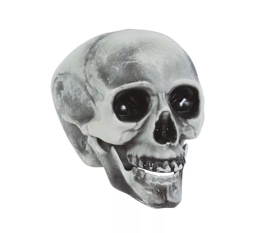 Translation missing: pt-PT.Calavera PVC 20 cms