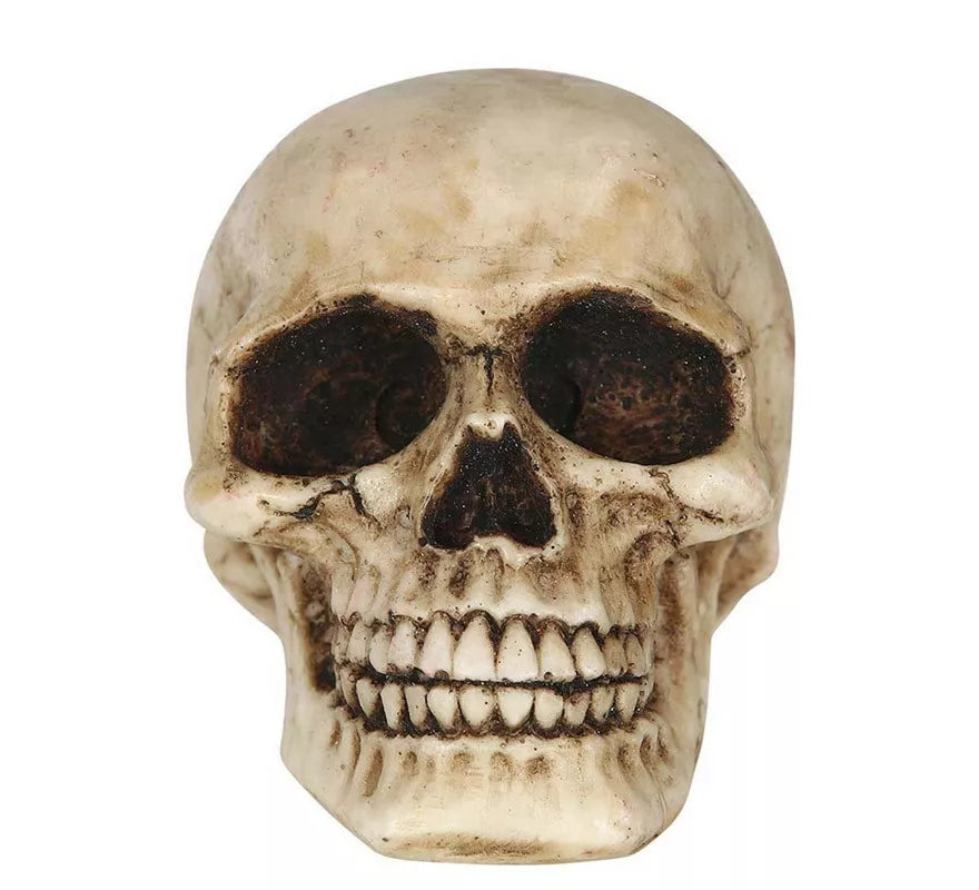 Translation missing: pt-PT.Calavera Resina de 8 cm