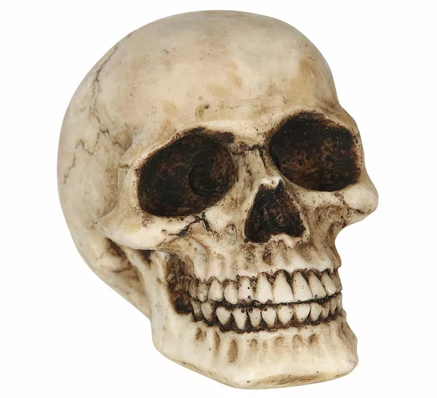Translation missing: pt-PT.Calavera Resina de 8 cm