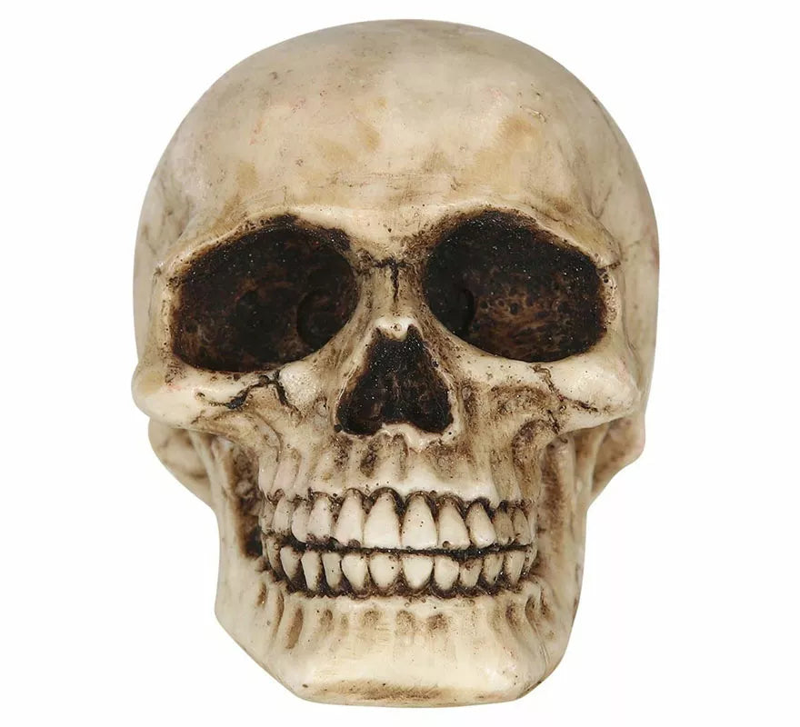 Translation missing: pt-PT.Calavera Resina de 8 cm