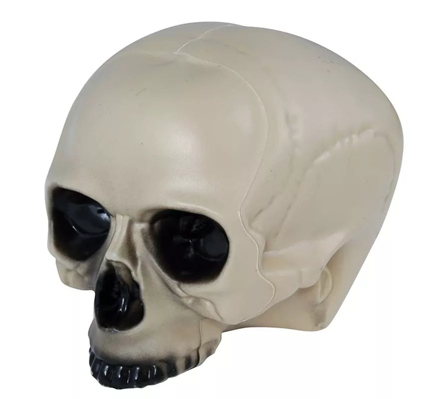 Translation missing: pt-PT.Calavera sin Mentón 20 cm