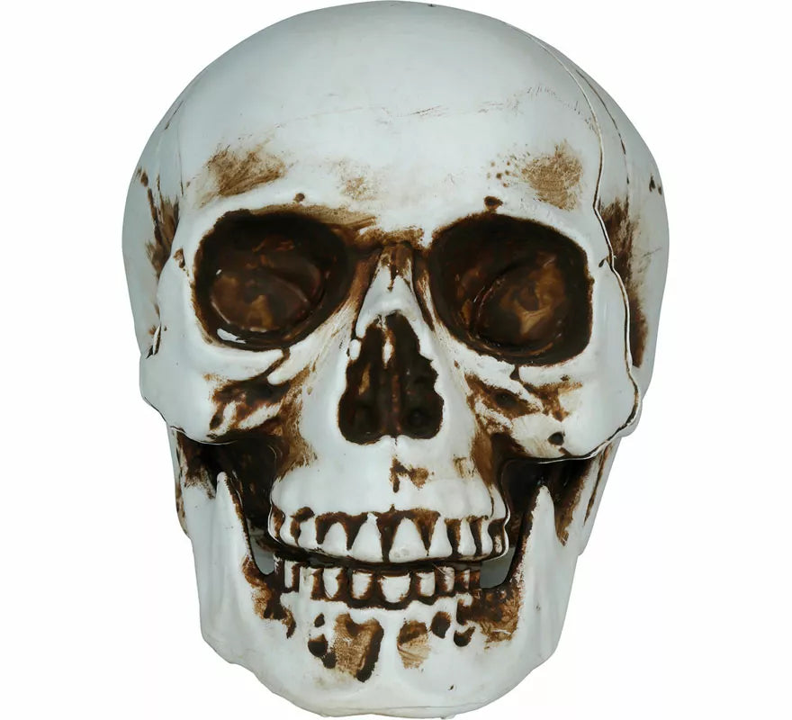Translation missing: pt-PT.Calavera Sombras de 20 cm