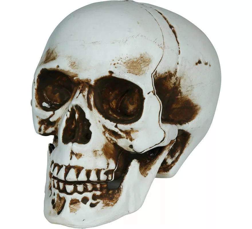 Translation missing: pt-PT.Calavera Sombras de 20 cm