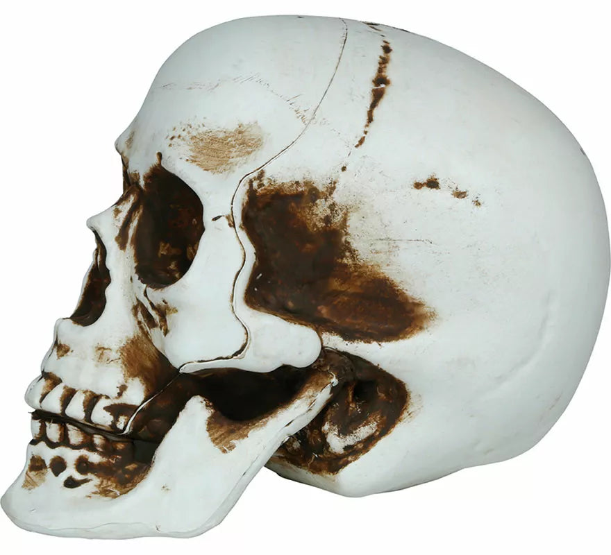Translation missing: pt-PT.Calavera Sombras de 20 cm