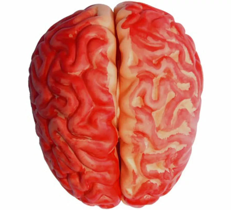 Translation missing: pt-PT.Cerebro Ensangrentado
