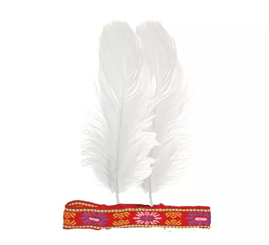Translation missing: pt-PT.Cinta de Plumas colores surtidos para India