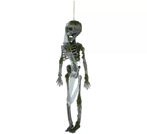 Colgante de Esqueleto con Musgo de 40 cm