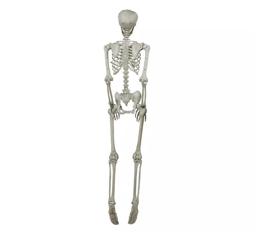 Colgante Esqueleto 160 Cm