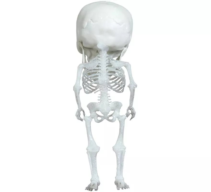 Colgante Esqueleto Cabezón 15 cm