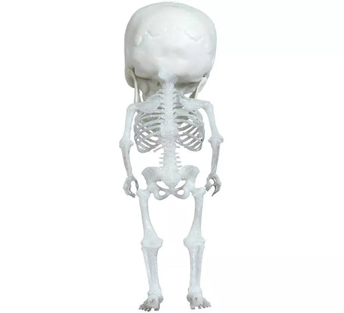 Colgante Esqueleto Cabezón 15 cm