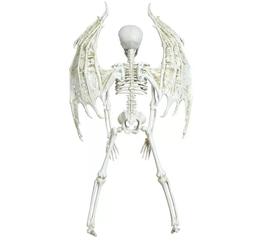 Colgante Esqueleto con Alas 46 cm