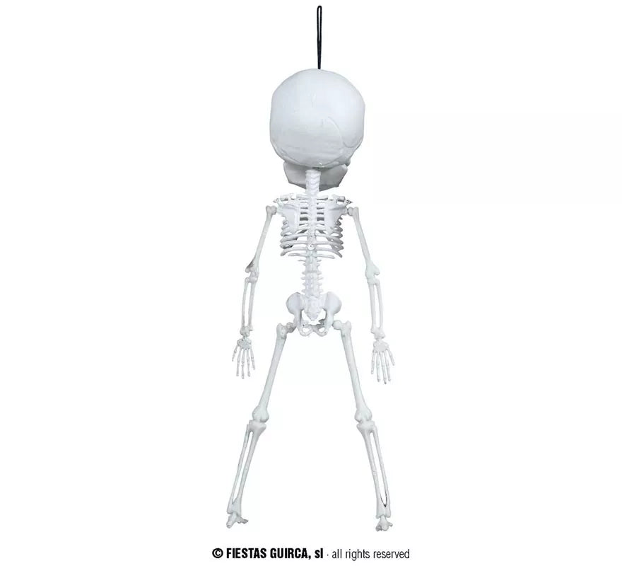 Colgante de Esqueleto Cabezón de 40 cm