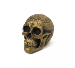 Crânio de cartomante 20x14x14 cm