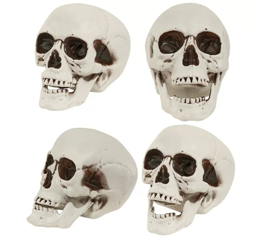 Translation missing: pt-PT.Cráneo o Calavera con Mandíbula Móvil de 12 cm