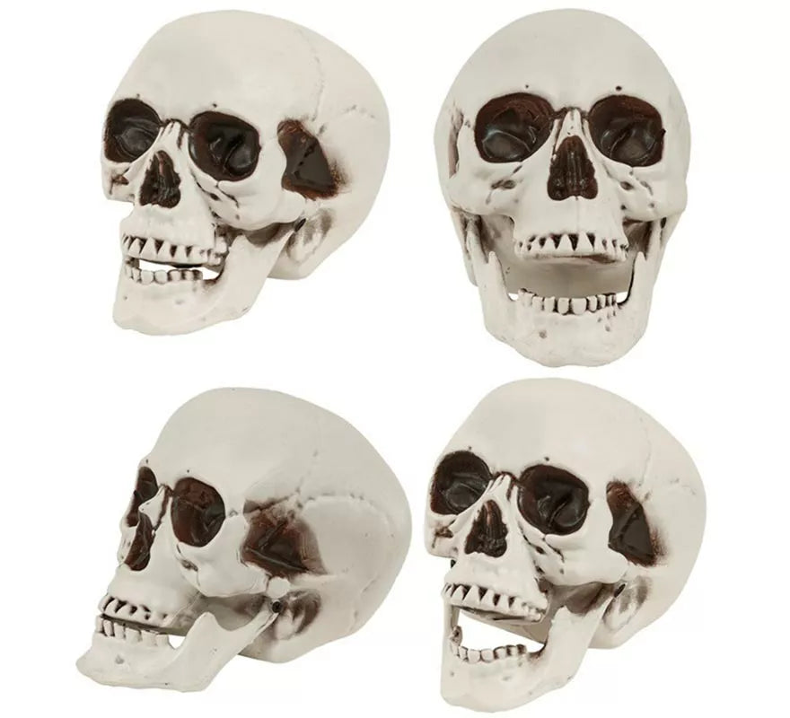 Translation missing: pt-PT.Cráneo o Calavera con Mandíbula Móvil de 28 cm