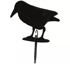 Corvo preto 30 cm