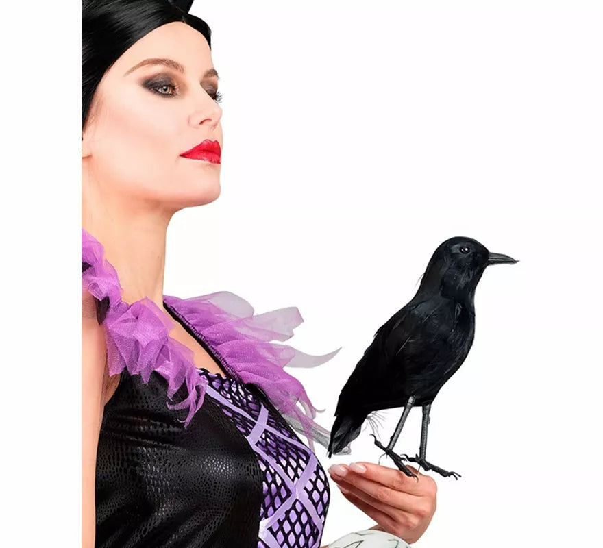 Cuervo negro con Plumas