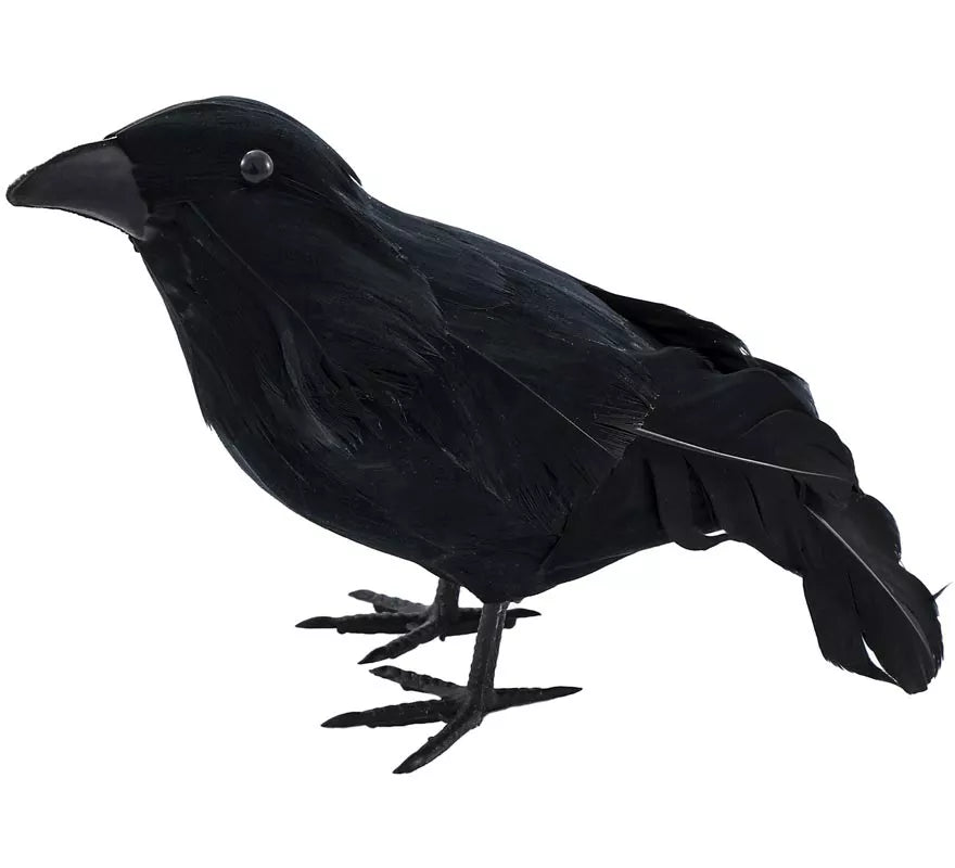 Translation missing: pt-PT.Cuervo negro con Plumas de 20,5x6x11 cm