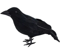 Corvo preto de 25 x 7,5 x 14,5 cm