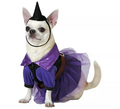 Fato de bruxa roxa com chapéu para cachorro