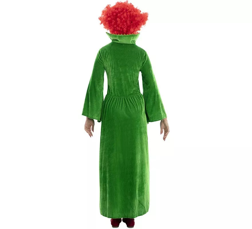 Disfraz de Bruja verde para mujer
