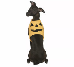 fantasia de abóbora de Halloween