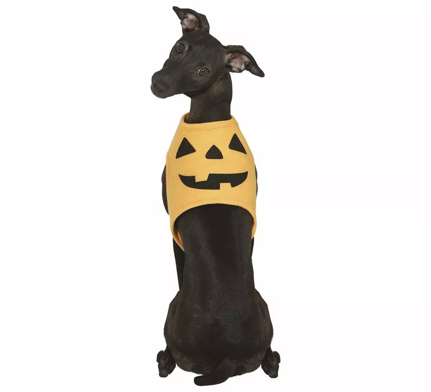 Translation missing: pt-PT.Disfraz de Calabaza Halloween para perro