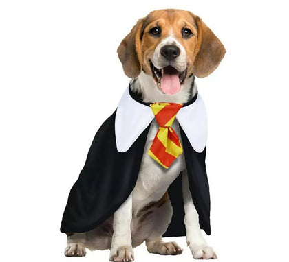 Disfraz de Estudiante de Magia para perro