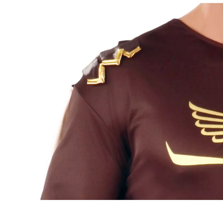 Translation missing: pt-PT.Disfraz de Gladius marrón para hombre