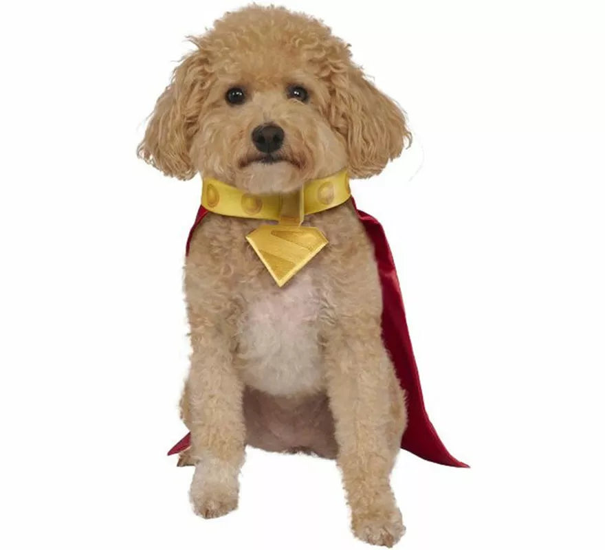 Translation missing: pt-PT.Disfraz de Krypto Superman para perro