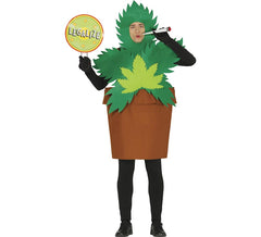 Fato de maconha planta maconha para homem