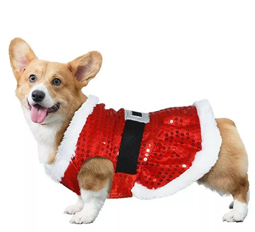 Disfraz de Papá Noel con lentejuelas para perro