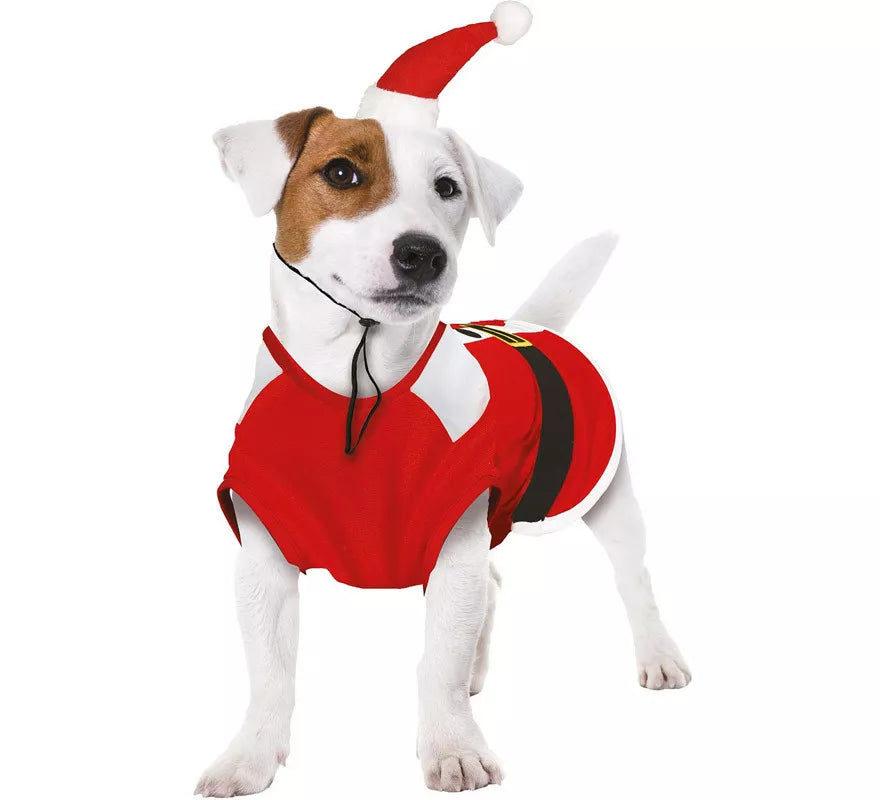 Translation missing: pt-PT.Disfraz de Papá Noel Dog para perro