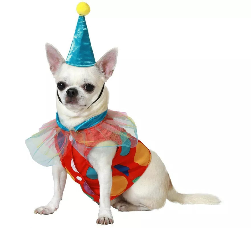 Translation missing: pt-PT.Disfraz de Payaso con Gorrito para perro