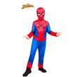 Disfraz de Spiderman Clásico para niño